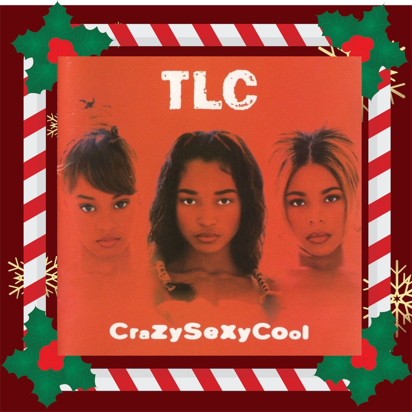LP TLC - Crazysexycool Neu versiegelt