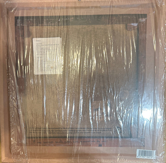 LP Los Nikis de la pradera - Llorica 2ª Mano