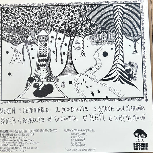 LP Kikagaku Moyo – Kikagaku Moyo 2ª Mano