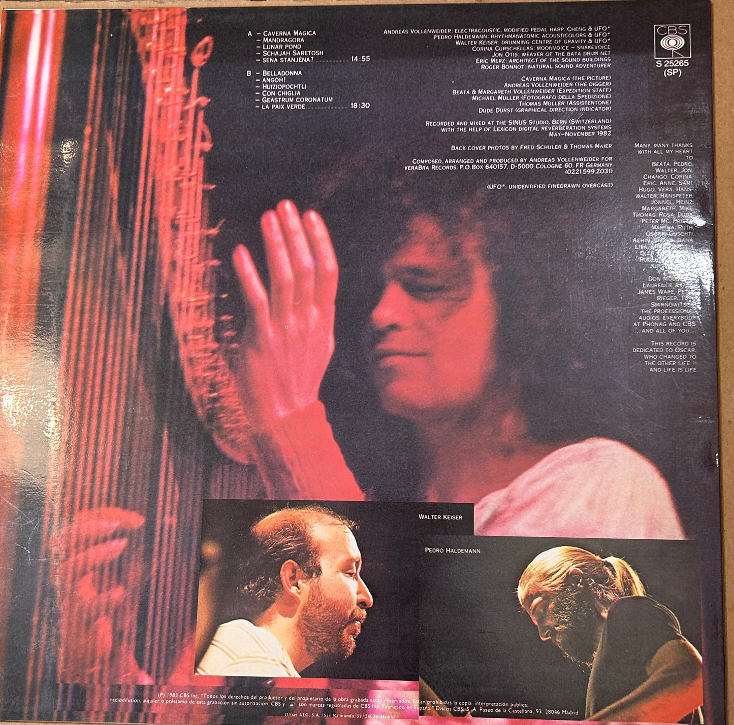 LP Andreas Vollenweider – Caverna Magica (...Under The Tree - In The Cave...) Gebraucht (Nur zur Abholung im Laden)