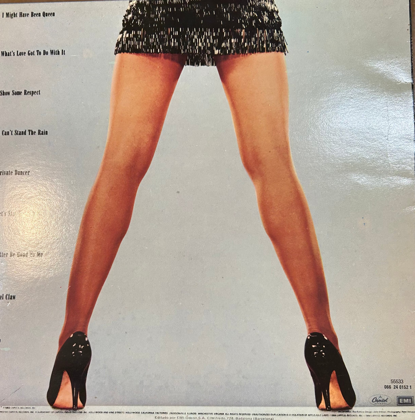 LP Tina Turner - Private Dancer gebraucht (exklusives Produkt zur Abholung im Laden)