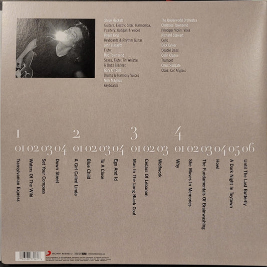 LP Steve Hackett – Wild Orchids Nuevo precintado