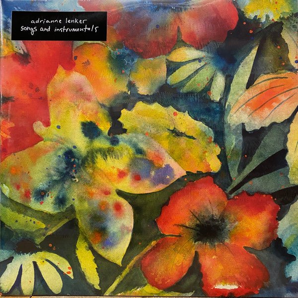 LP Adrianne Lenker – Songs And Instrumentals Nuevo precintado - DISCOS NAKASHA