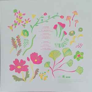 LP José González – Local Valley Remixes Nuevo precintado - DISCOS NAKASHA