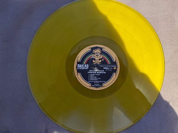 LP Junior Murvin – Badman Possee Nuevo precintado - DISCOS NAKASHA