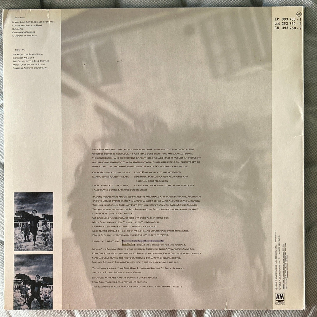 LP Sting – The Dream Of The Blue Turtles 2ª Mano - DISCOS NAKASHA