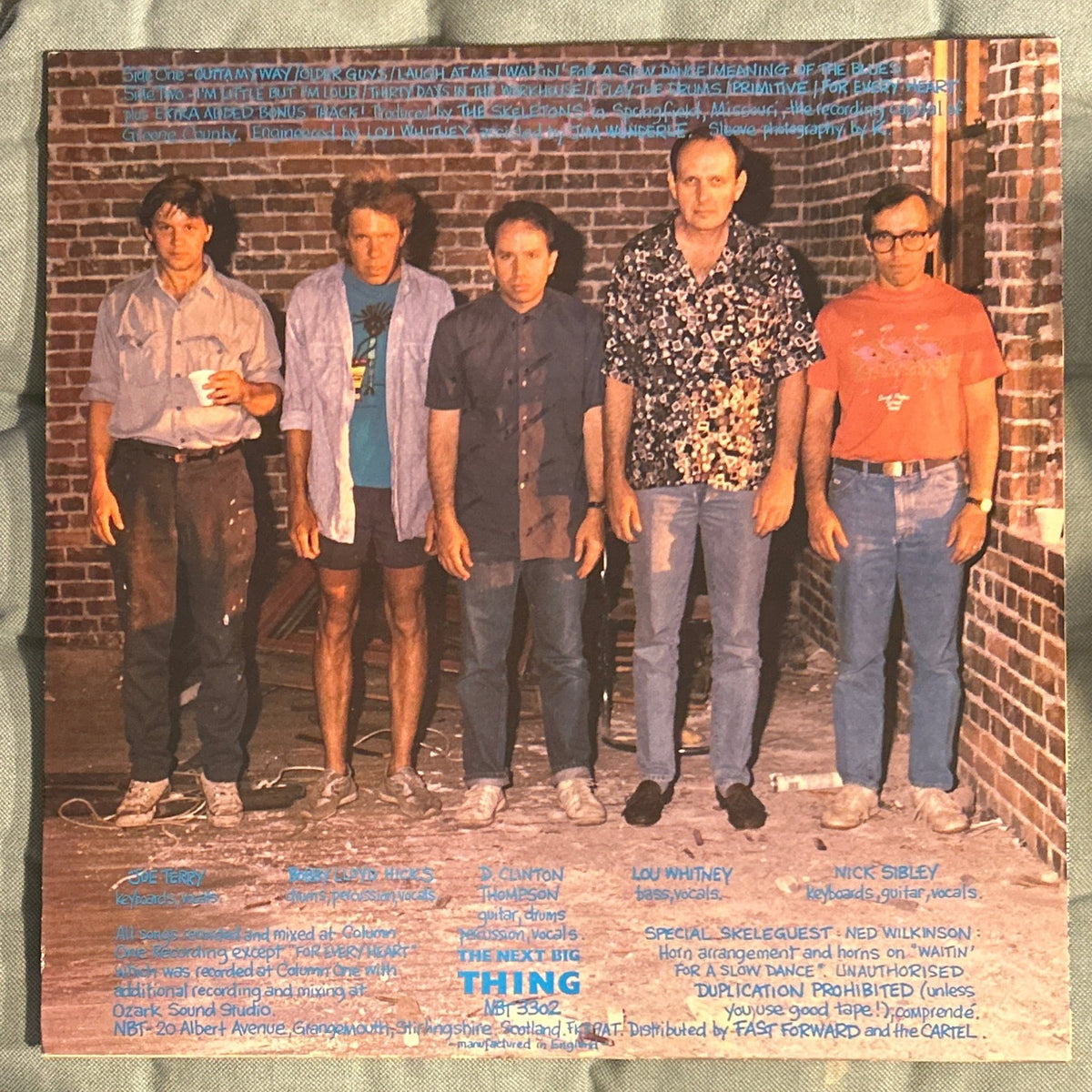 LP The Skeletons – In The Flesh 2ª Mano - DISCOS NAKASHA