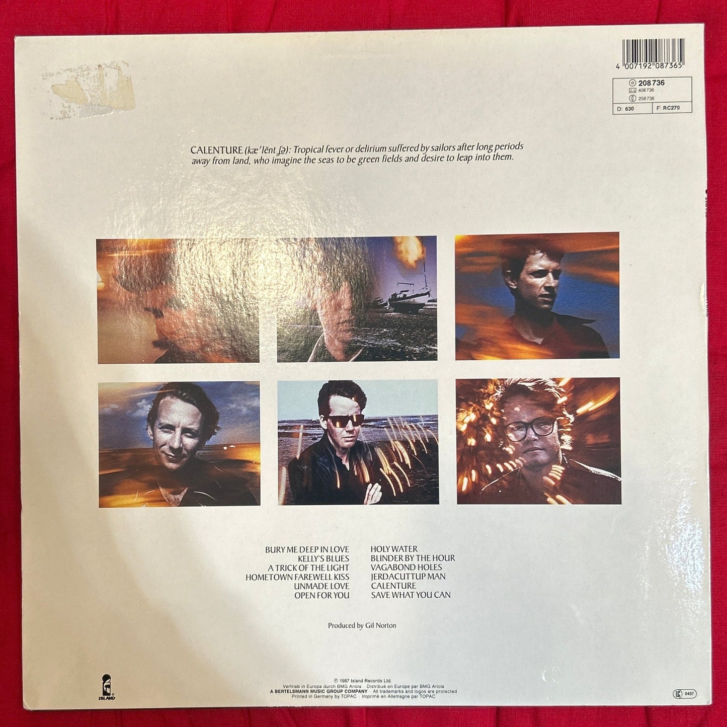 LP The Triffids – Calenture 2ª Mano - DISCOS NAKASHA