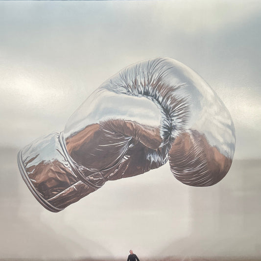 LP  Bryan Adams ‎– Roll With The Punches 2ª mano