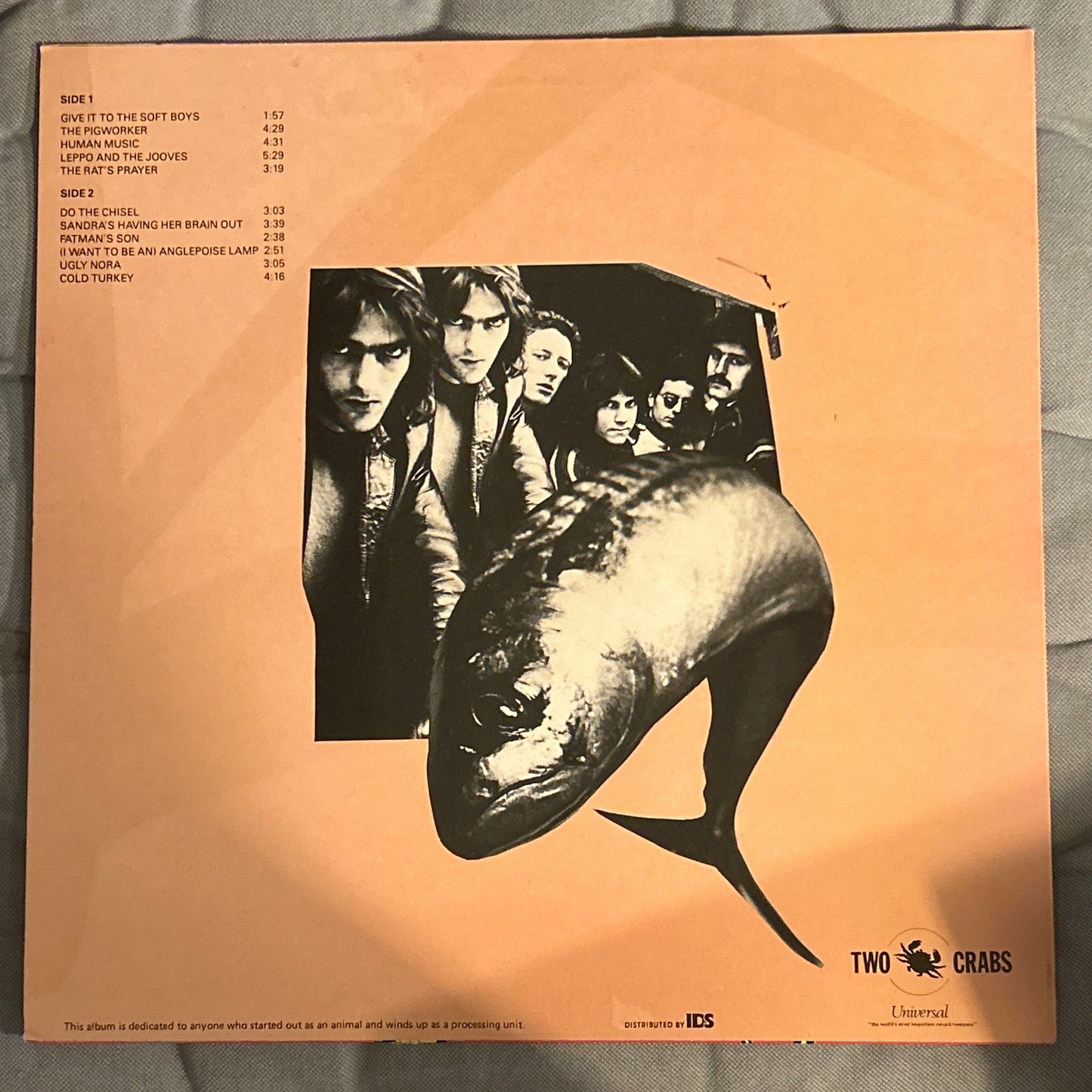 LP The Soft Boys – A Can Of Bees 2ª Mano