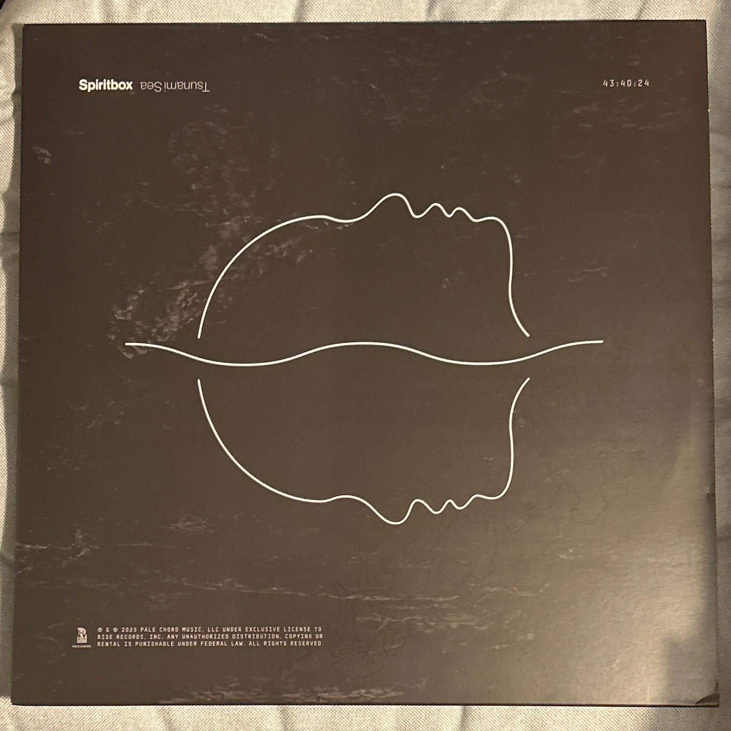 LP Spiritbox ‎– Tsunami Sea 2ª Mano