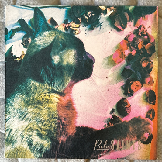 LP Pale Saints ‎– The Comforts Of Madness 2ª mano