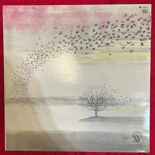 LP Genesis ‎– Wind & Wuthering 2ª Mano