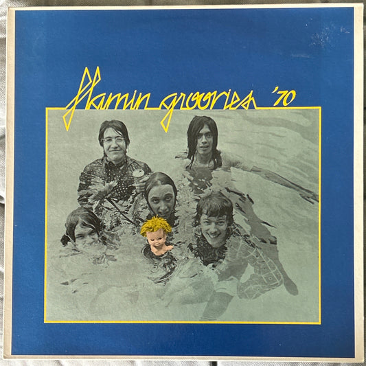 LP Flamin Groovies ‎– Flamin Groovies '70 2ª Mano