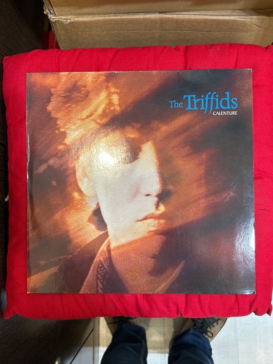 LP The Triffids ‎– Calenture 2ª Mano