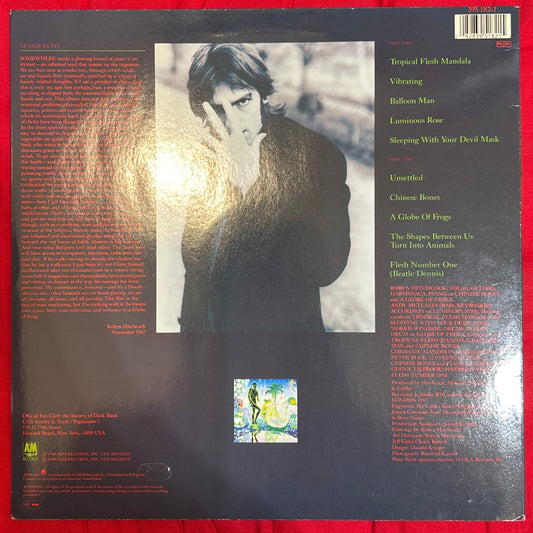 LP Robyn Hitchcock & The Egyptians ‎– Globe of frogs 2ª Mano