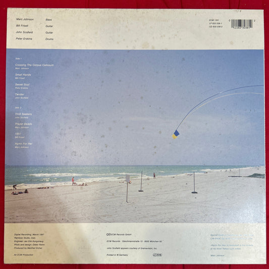 LP Marc Johnson's Bass Desires ‎– Second Sight 2ª Mano