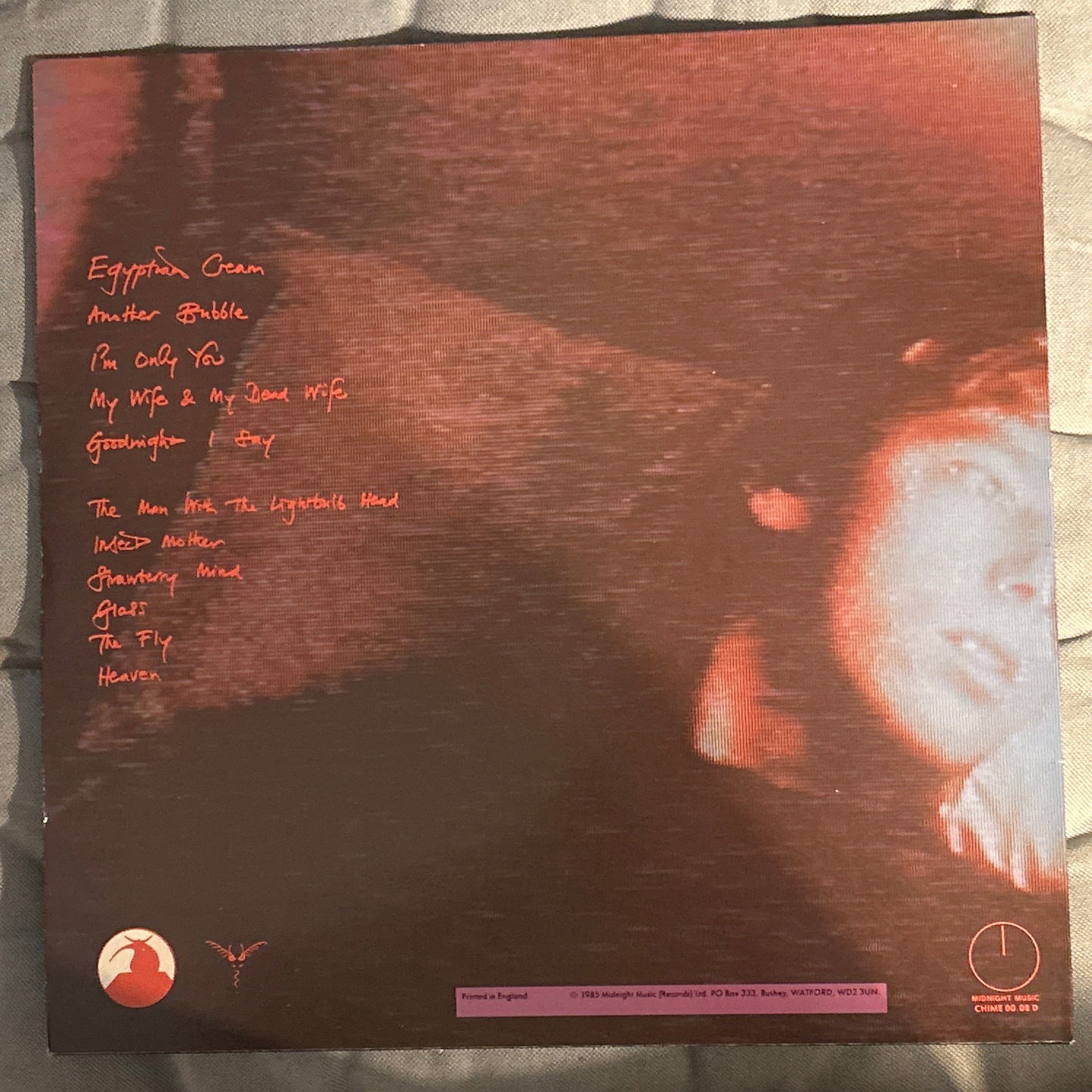 LP Screeching Weasel - Teen punks in heat - Neu, versiegelt