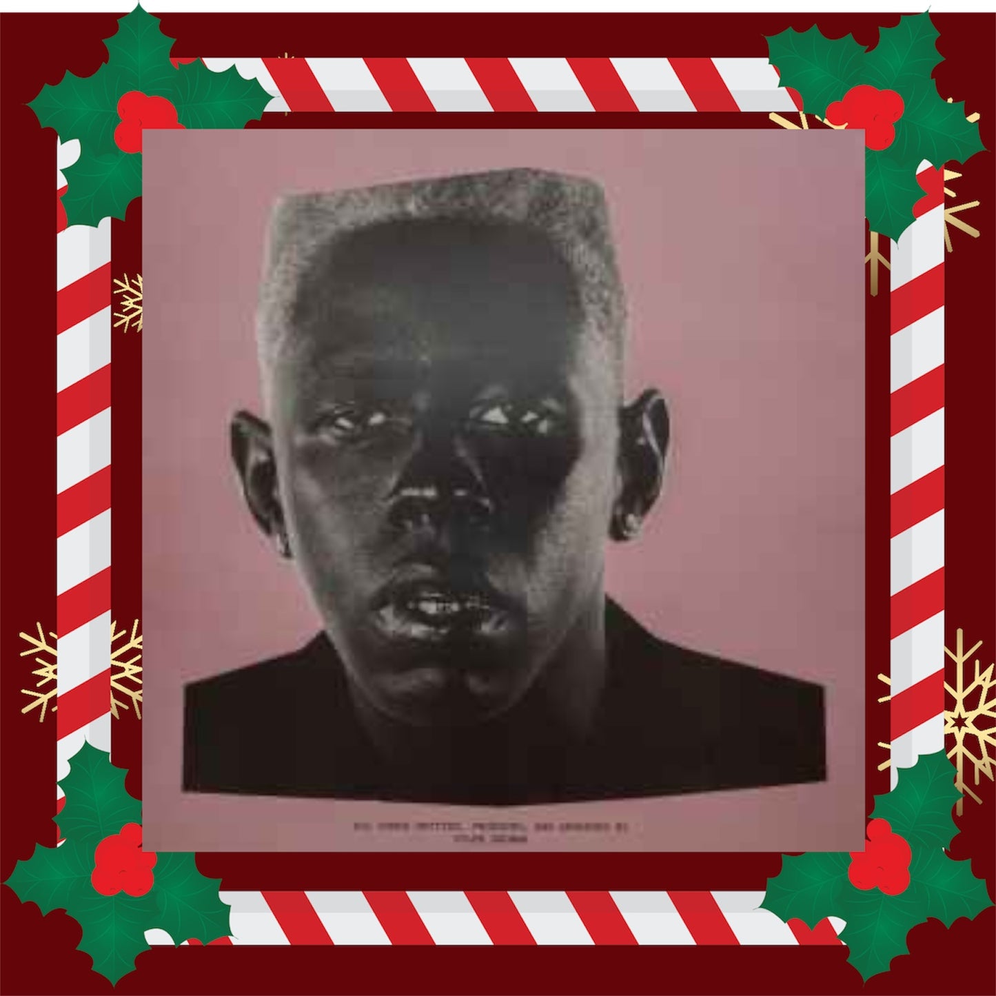 LP Tyler The creator - Igor Nuevo precintado