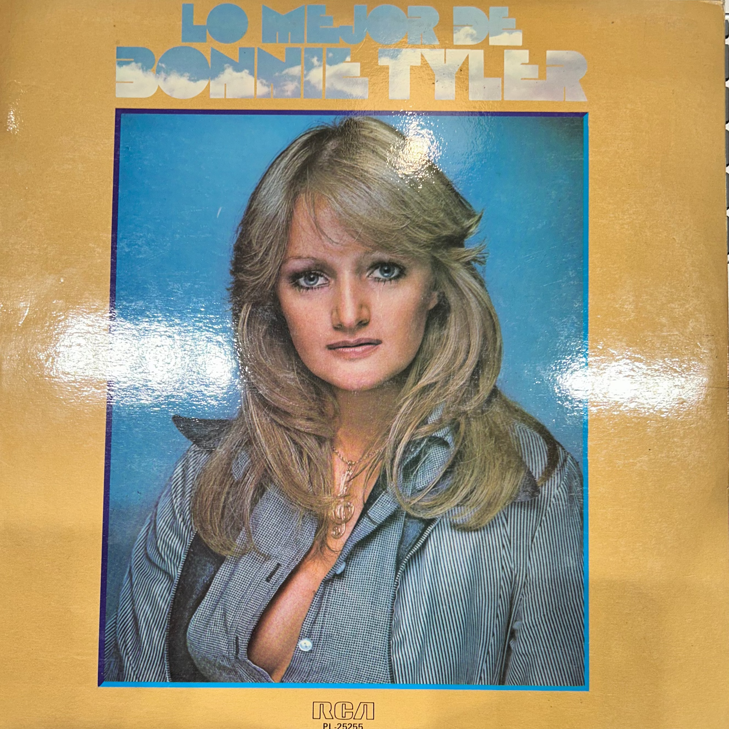LP Bonnie Tyler ‎– Lo Mejor De Bonnie Tyler 2ª Mano