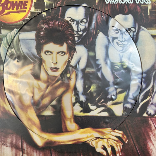 Picture Disc David Bowie ‎– Diamond Dogs gebraucht
