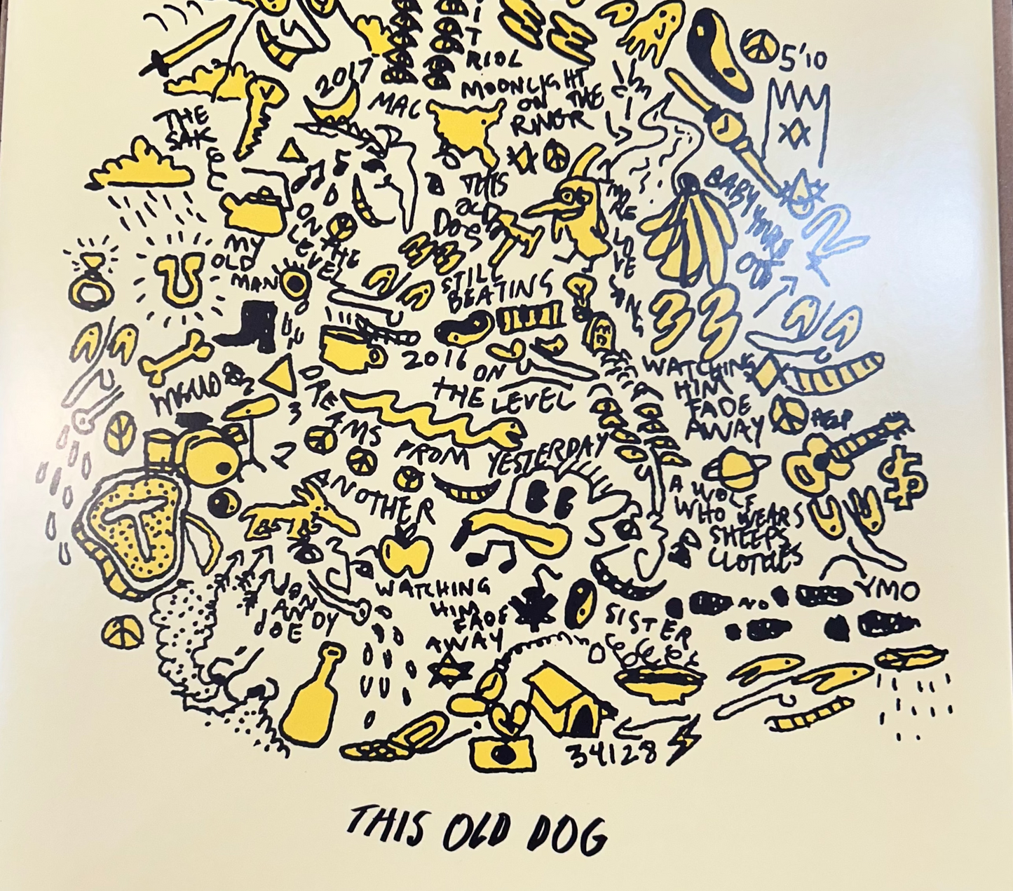 LP Mac Demarco – This Old Dog Gebraucht