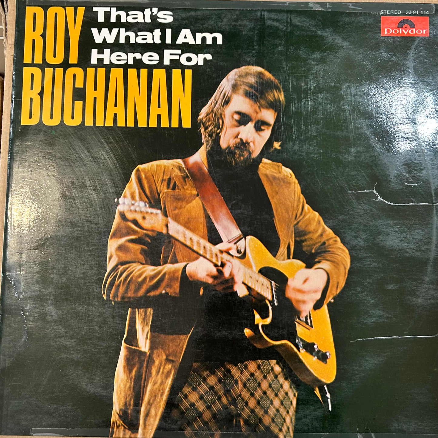 LP Roy Buchanan ‎– That's What I Am Here For Gebraucht
