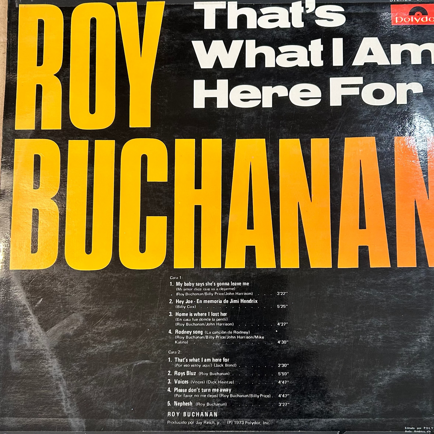 LP Roy Buchanan ‎– That's What I Am Here For Gebraucht
