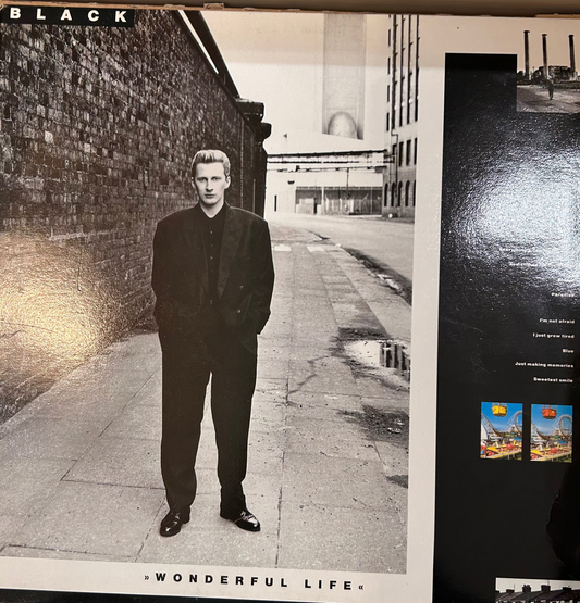 LP Black – Wonderful Life 2ª Mano (Producto exclusivo recogida en tienda)