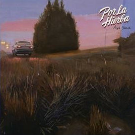 LP Angel Stanich ‎– Por La Hierba Nuevo precintado