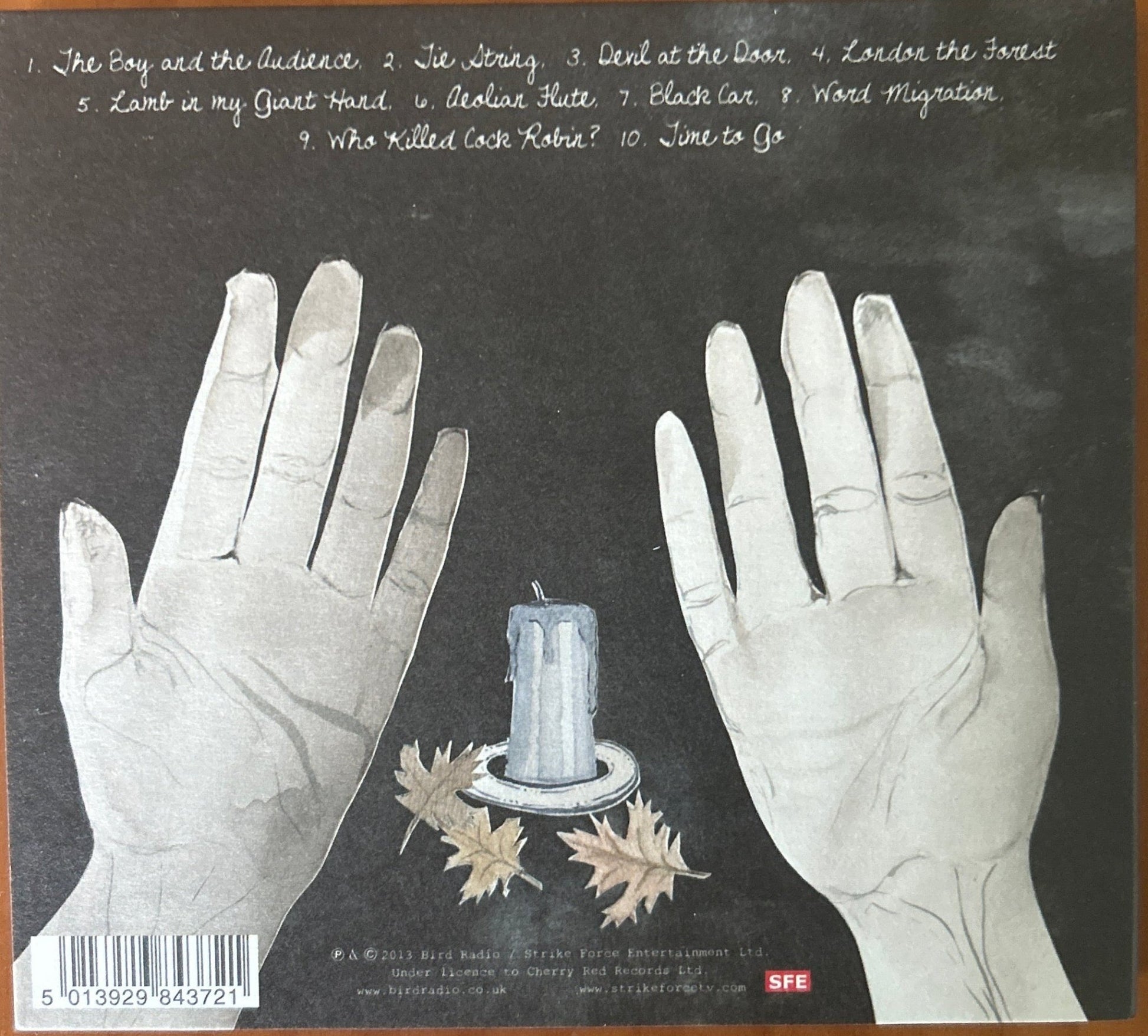CD Bird Radio – The Boy And The Audience 2ª Mano (Producto exclusivo recogida en tienda) - DISCOS NAKASHA