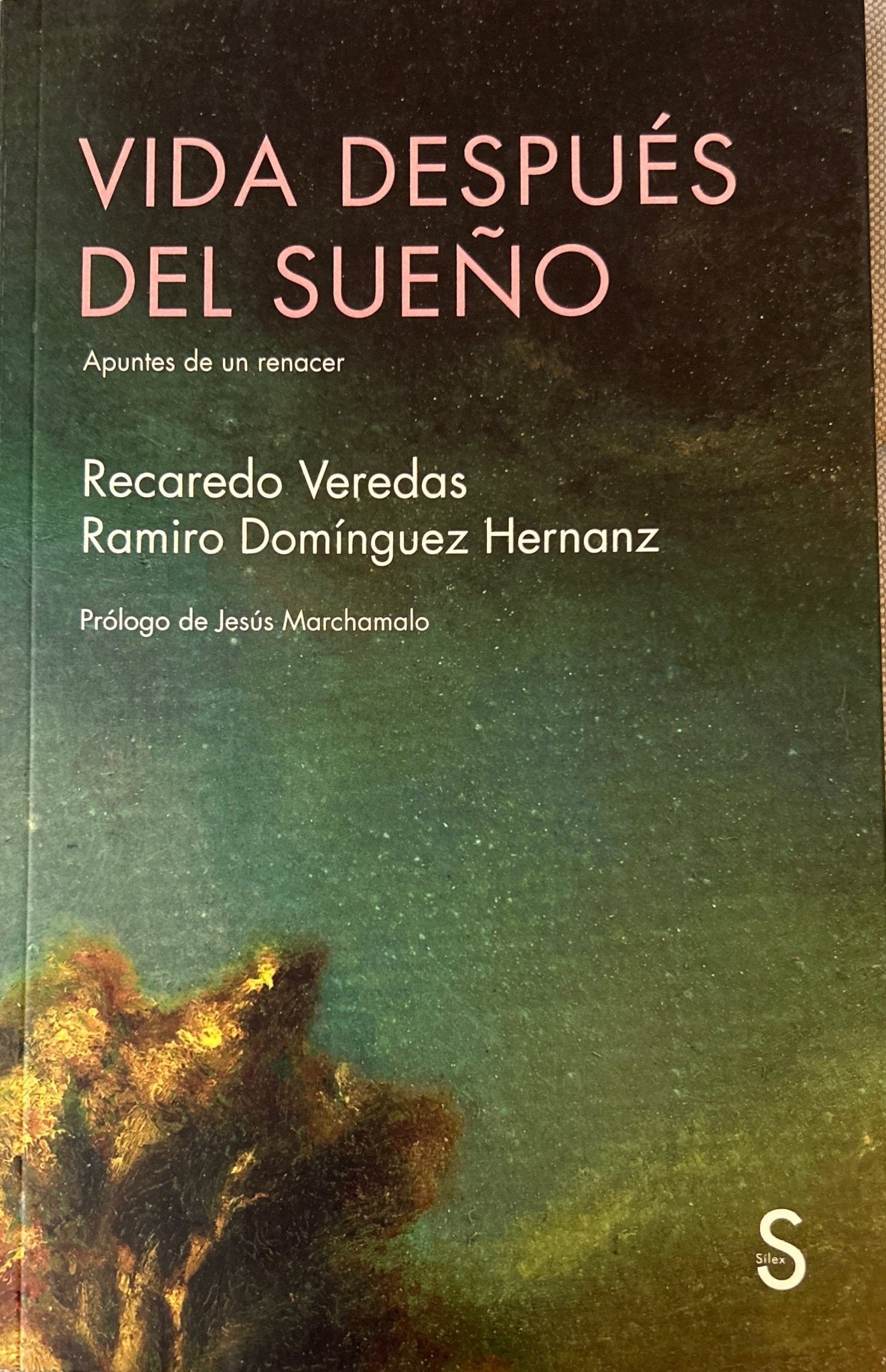 Libro Vida despues del sueño - Recaredo Veredas - Ramiro Dominguez Hernanz 2ª Mano - DISCOS NAKASHA