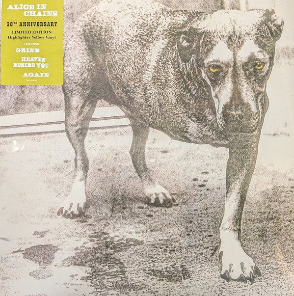 LP Alice In Chains ‎– Alice In Chains Nuevo precintado - DISCOS NAKASHA