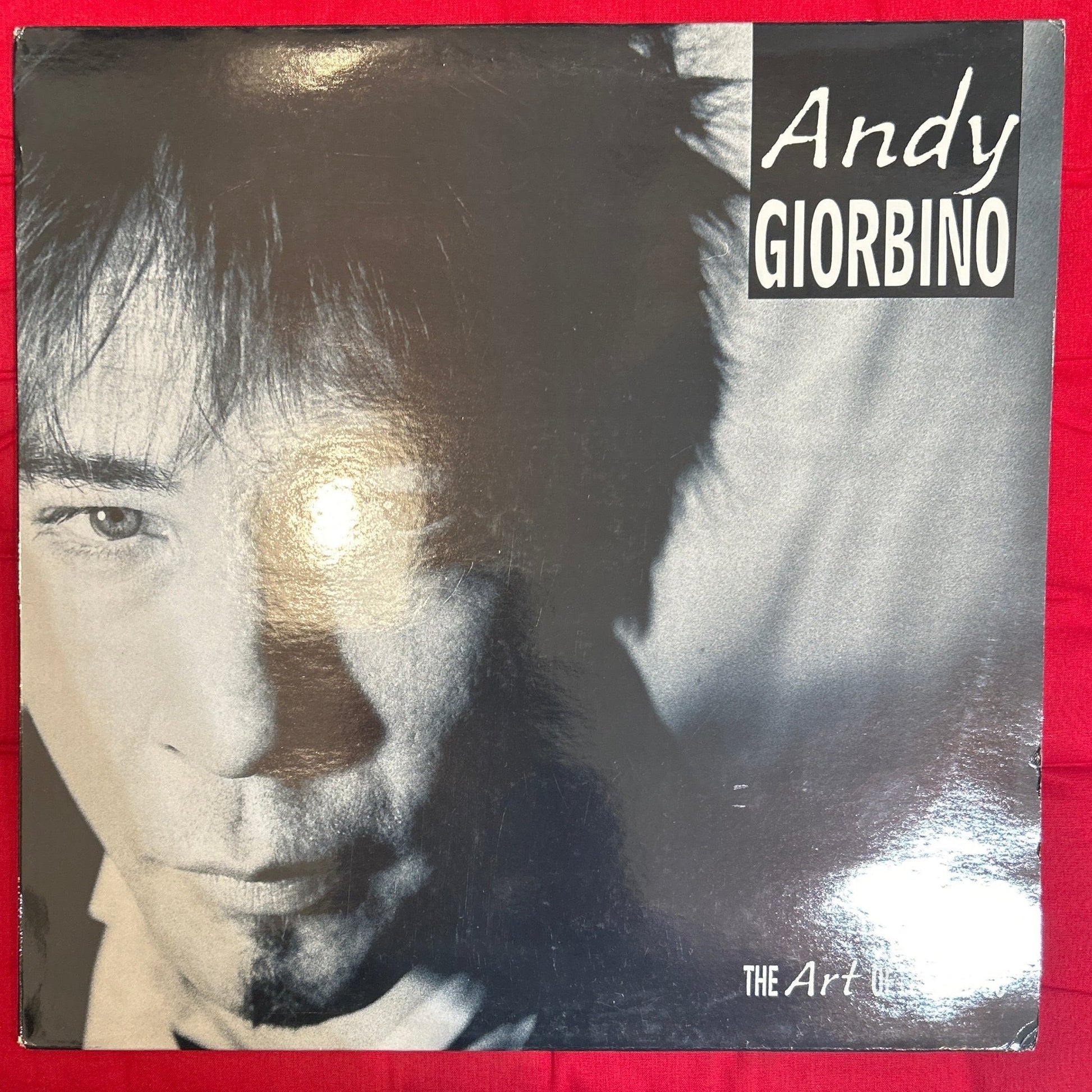 LP Andy Giorbino ‎– The Art Of Letting Go 2ª mano (Producto exclusivo recogida en tienda) - DISCOS NAKASHA