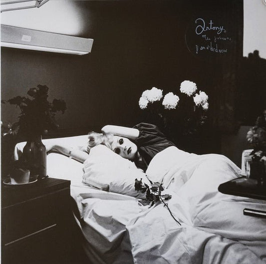 LP Antony And The Johnsons – I Am A Bird Now Nuevo precintado - DISCOS NAKASHA