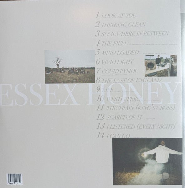 LP Blood Orange ‎– Essex Honey Nuevo precintado - DISCOS NAKASHA