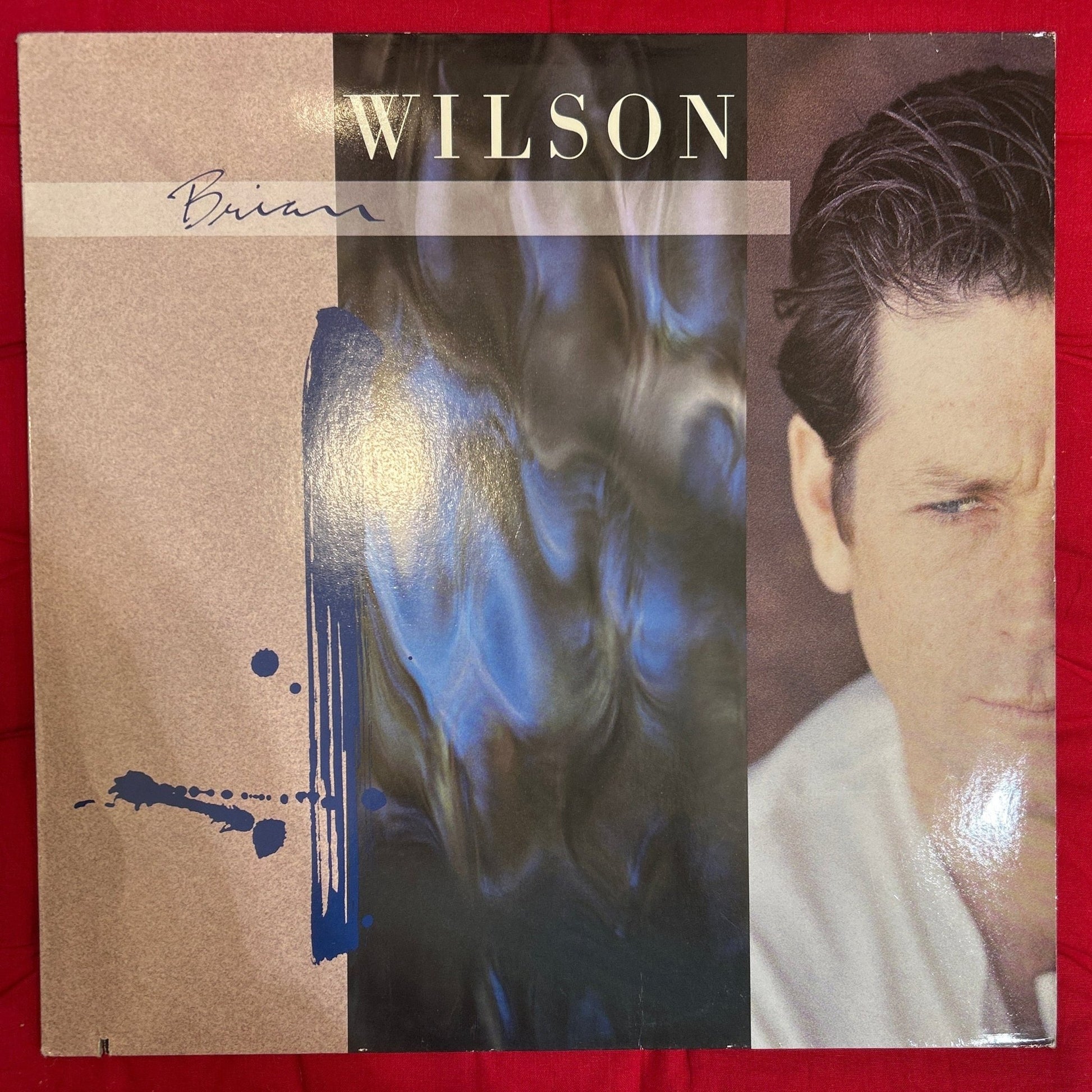 LP Brian Wilson ‎– Brian Wilson 2ª Mano - DISCOS NAKASHA