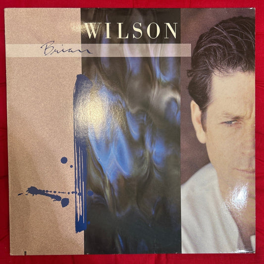 LP Brian Wilson ‎– Brian Wilson 2ª Mano - DISCOS NAKASHA