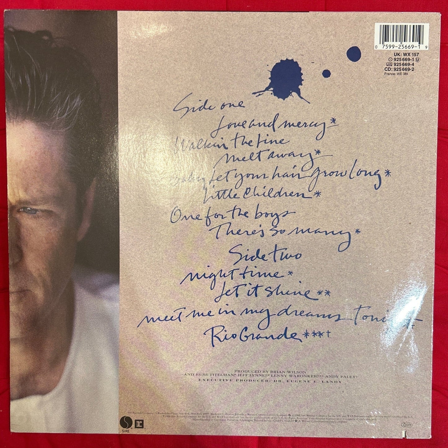 LP Brian Wilson ‎– Brian Wilson 2ª Mano - DISCOS NAKASHA