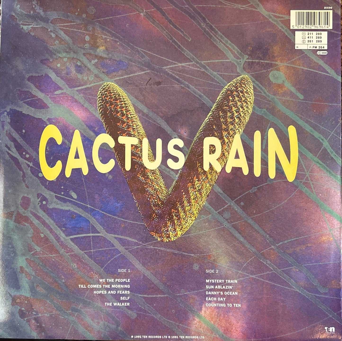 LP Cactus Rain ‎– In Our Own Time 2ª Mano - DISCOS NAKASHA