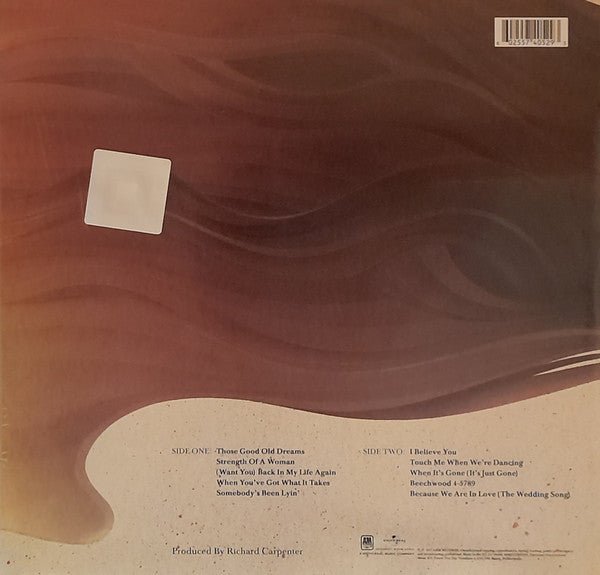 LP Carpenters ‎– Made In America Nuevo precintado - DISCOS NAKASHA
