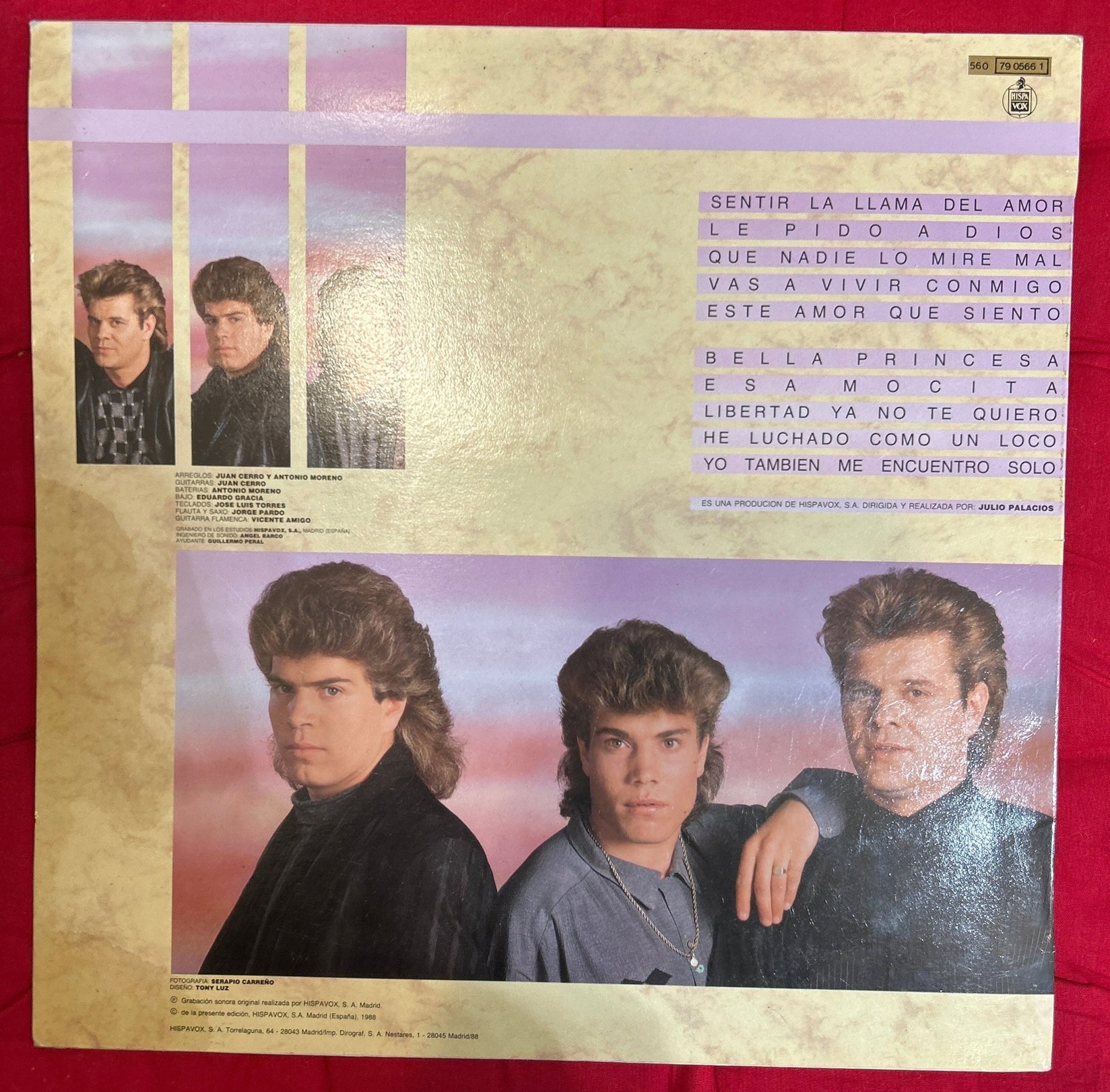 LP Casta – La Llama Del Amor 2ª Mano - DISCOS NAKASHA