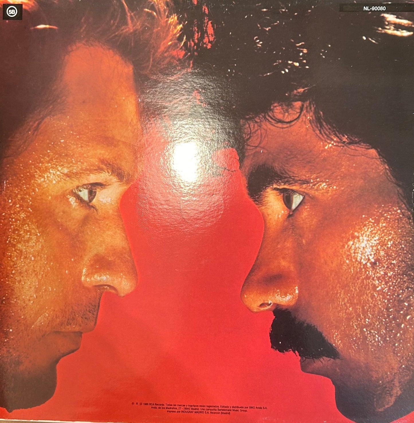 LP Daryl Hall + John Oates ‎– H₂O 2ª mano - DISCOS NAKASHA