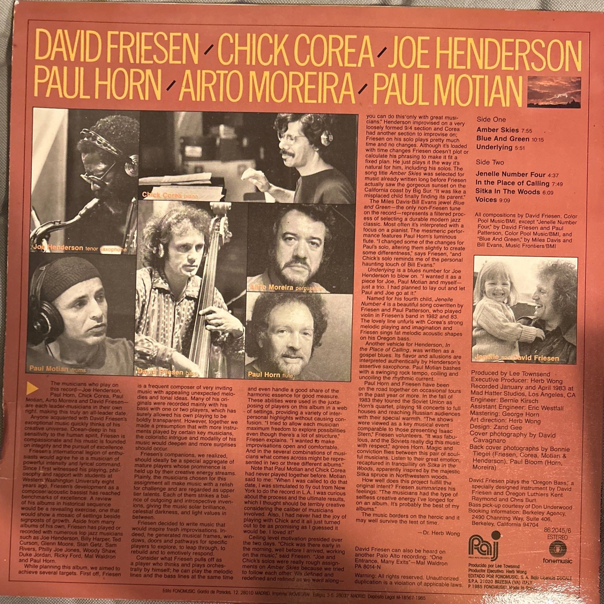 LP David Friesen ‎– Amber Skies 2ª Mano - DISCOS NAKASHA