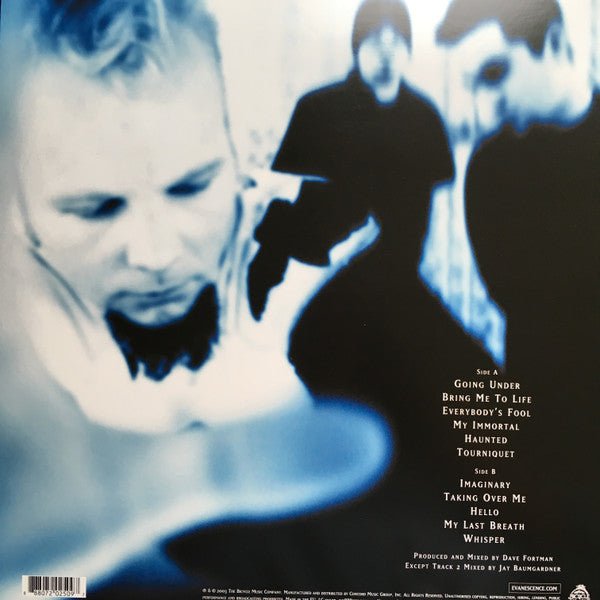 LP Evanescence ‎– Fallen Nuevo precintado - DISCOS NAKASHA
