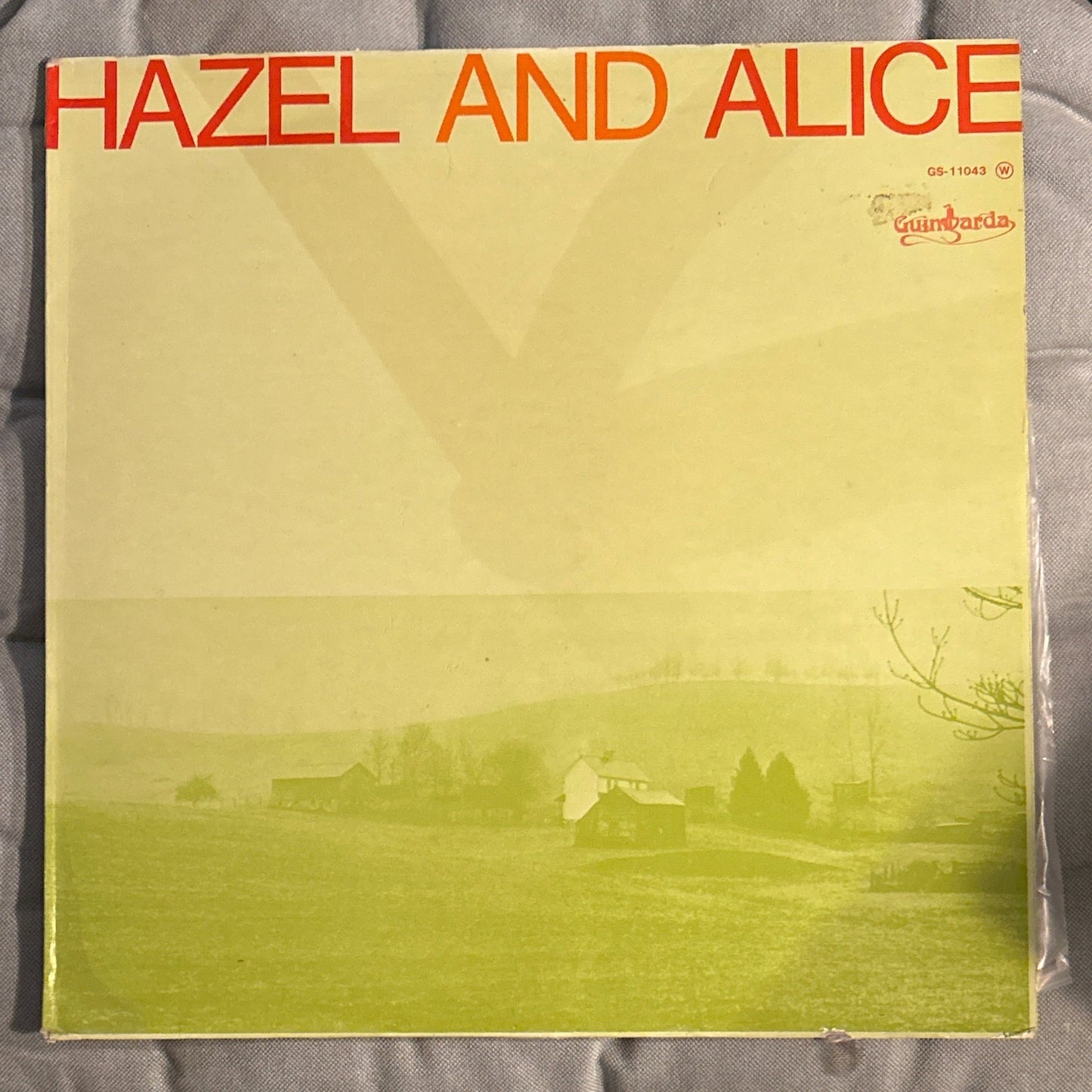 LP Hazel Dickens And Alice Gerrard ‎– Hazel And Alice 2ª Mano - DISCOS NAKASHA