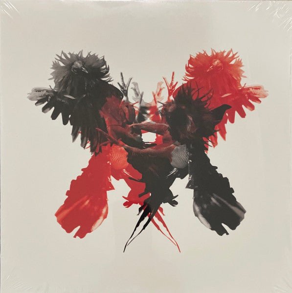 LP Kings Of Leon – Only By The Night Nuevo precintado - DISCOS NAKASHA