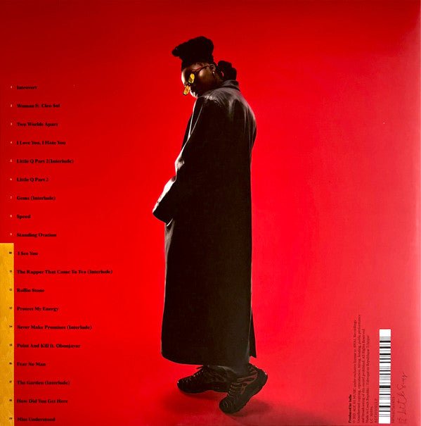 LP Little Simz ‎– Sometimes I Might Be Introvert Nuevo precintado - DISCOS NAKASHA