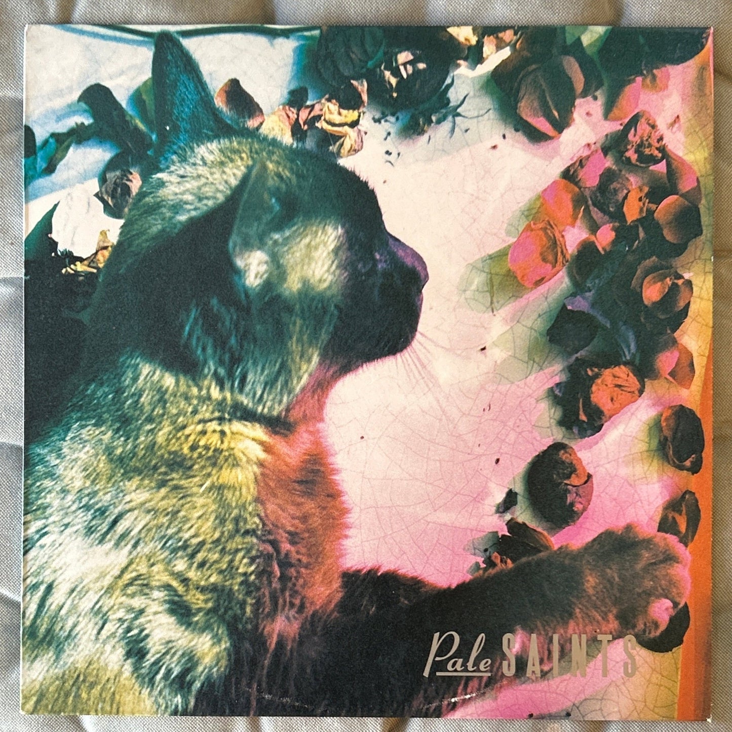 LP Pale Saints ‎– The Comforts Of Madness 2ª mano - DISCOS NAKASHA