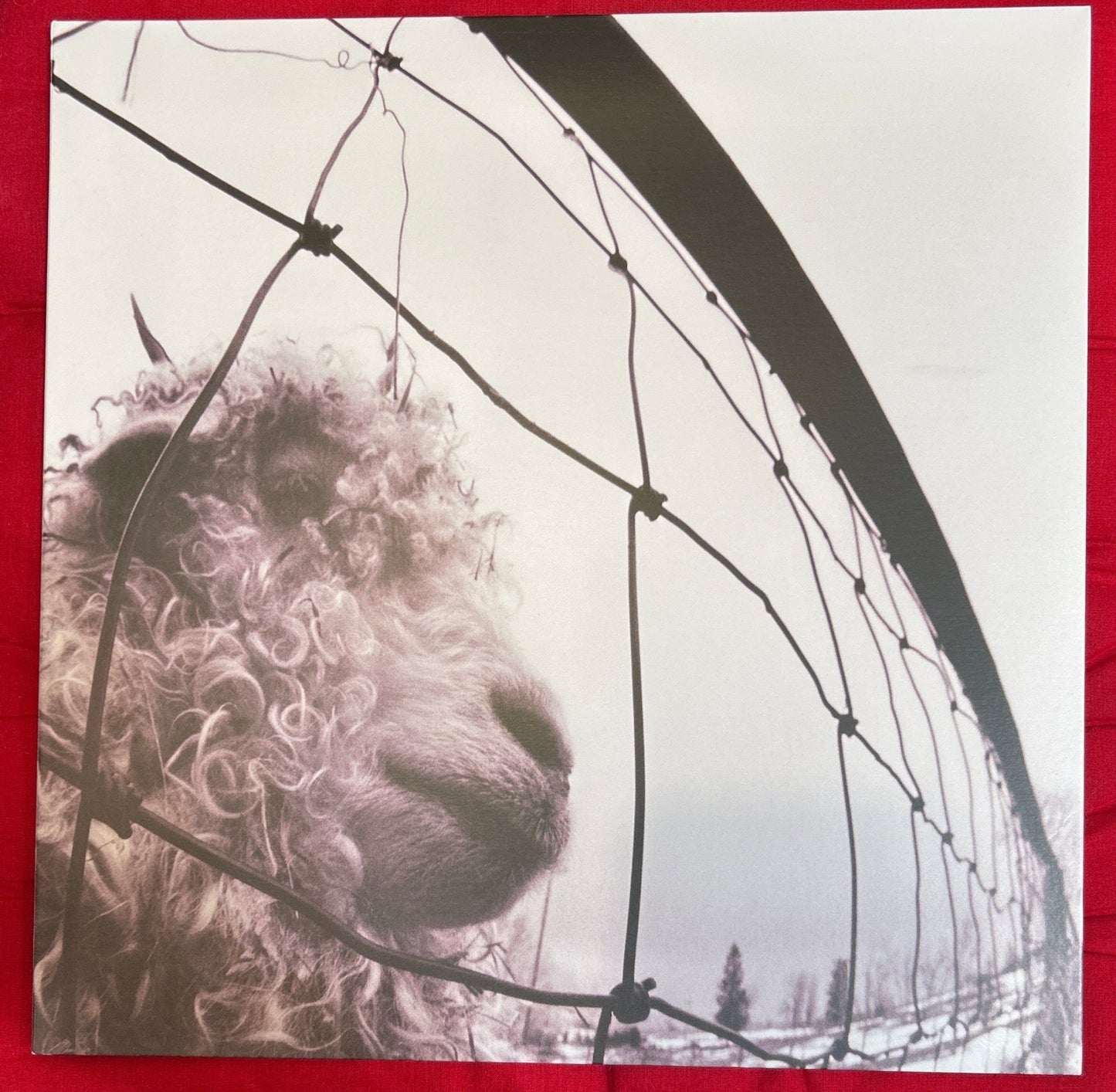 LP Pearl Jam ‎– Vs. 2ª Mano - DISCOS NAKASHA
